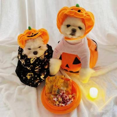 China Custom Viable Halloween Dog For Dogs Pumpkin Hat Pet Accessories For Winter Funny Cat Hat Small Pet Hat for sale