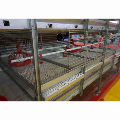 China Poultry Raising Equipment Factory Supply New Product Chicken Layer Breed Automatic Broiler Cage System for sale