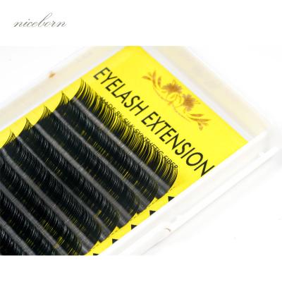 China High Quality Private Label Eyelash Extensions Natural Soft Eyelash Extension Different Eyelashes with All Length and Thickness Curl for sale