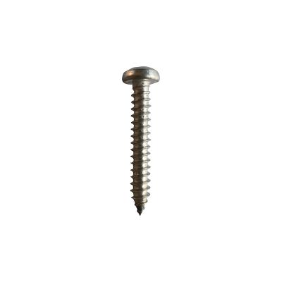 China High quality din7981 stainless steel pan head self tapping screw for sale