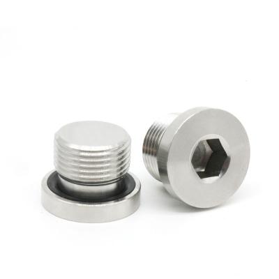 China Machinery Factory Hot Sales Galvanized Screw Plugs Threaded Hex Head Screw Socket for sale