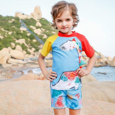 China 2021 New Hot-selling Children's Swimming Suit Beach Sunscreen Boy's Breathable Split Short-sleeved Swimsuit for sale