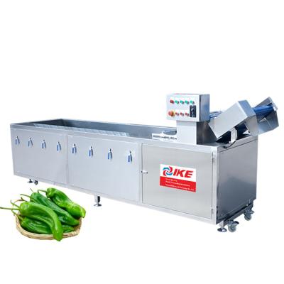 China High efficiency vegetable washing machine green food commercial bubble washing machine for fruit vegetable green pepper washing for sale