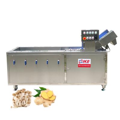 China High Quality Snack Factory Fruit Electric Bubble Cleaning Machines Straighten Ginger Mushroom Ozone Clean for sale