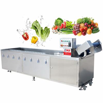 China High Efficiency Easy Operate Commercial Automated Leaf Vegetable Washing Machine Used For Orange Lettuce Tomato Washing for sale