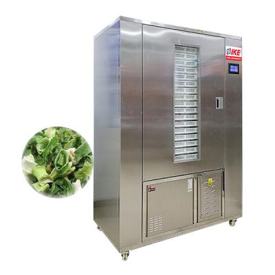 China Easy Operation High Efficiency Industrial Vegetable Dehydrator For Onions And Spring Peppers for sale