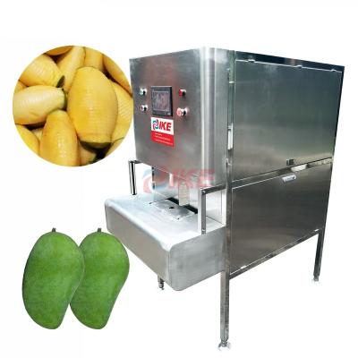 China High Efficiency Easy Operate Industrial Melon Kiwi Persimmon Peeling Machine Fruit Peeling Mango Kernel Machine Potato Peeling Equipment for sale