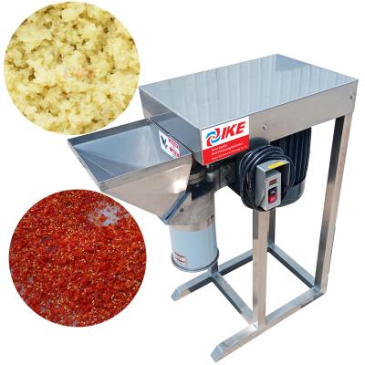 China High Efficiency Easy Operate Electric Chilli Crusher Stainless Steel Onion Grinder for sale