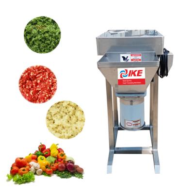 China High Efficiency Easy Operate Chilli Grinding Machine Steel Ginger Crushing Equipment Preferential Vegetable Grinding Machine for sale