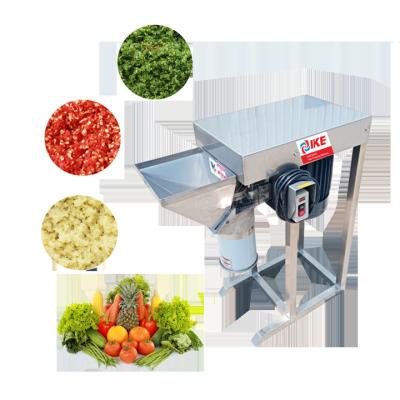 China High Efficiency Easy Operate Factory Design Vegetable Pepper Crusher Green Onion Crushing Machine Grinding Equipment for sale