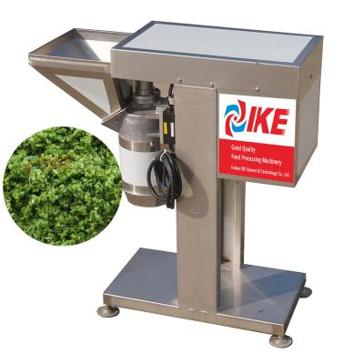 China High Efficiency Easy Operate Food Processing Plant Use Vegetable Grinding Machine For Onion Ginger Garlic Chopped for sale