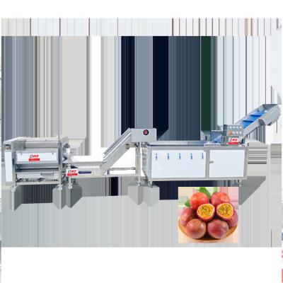 China High Efficiency Easy Operate Passion Flower Passion Fruit Brush Cleaning Production Line Fruit and Vegetable Processing Line for sale