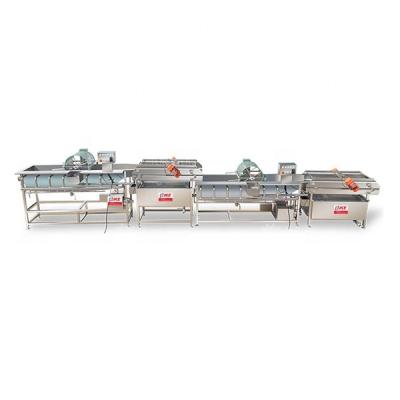 China High Efficiency Easy Operate Vegetable Washing And Vibrating Dehydration Production Line for sale