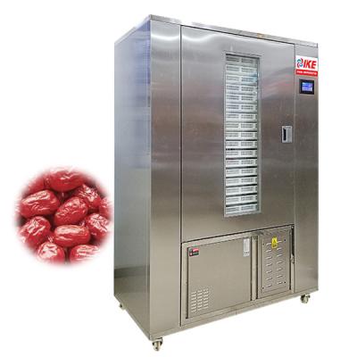 China Easy Operation Small Medlar Commercial Electric Jujube Food Drier Factory Price for sale