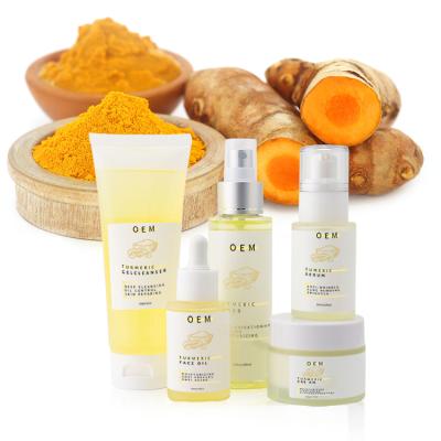 China Organic Face Vegan Ginger Extract Anti Acne Whitening Turmeric Skin Toner Care Set Wholesale Private Label for sale