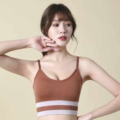 China New Design Seamless Lift Up Ropa Interior De Mujer Wireless Sports Bralette Free Size Women Underwear for sale