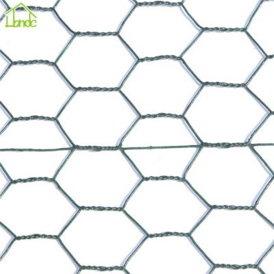 China Corrosion Resistance Chicken Wire Netting Wire Mesh Product for sale