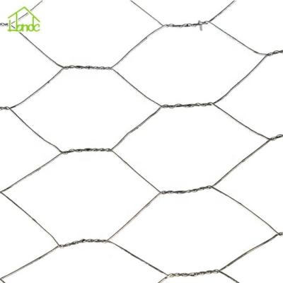 China Hexagonal Wire Mesh Woven Hexagonal Mesh of Corrosion Resistance for sale