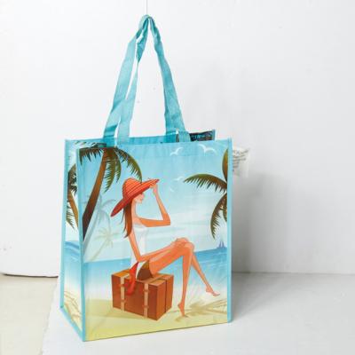 China Reusable Shopping Bag PP Shopping Bag, Non Woven PP Shopping Bag, Handled PP Shopping Bag for sale