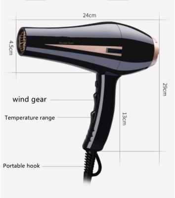 China Ionic five-speed spiral high-power household wire pet mute hair dryer hair dryer for sale