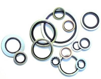 China Hot Selling Bonded Gasket Metal Combination Rubber Gaskets BSP Bonded Gasket for sale