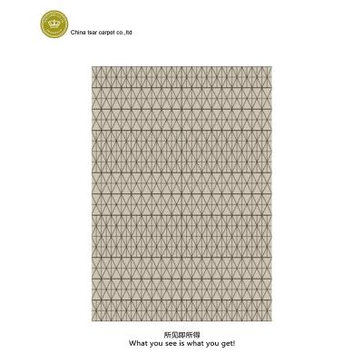 China TSAR Modern 3D Pattern Geometric Design Carpet 3D Living Room Custom Carpets Washable for sale