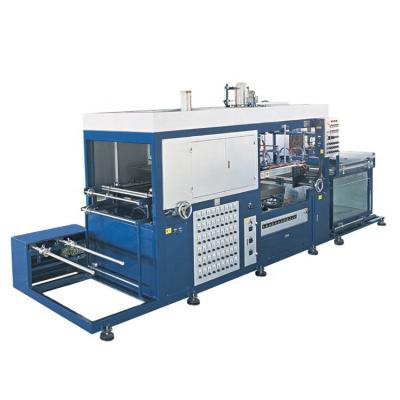 China Full Automatic Plastic Lunch Box Sheet Forming Blister Liner Cover Packaging Making Machine for sale