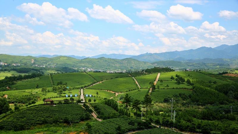 Verified China supplier - Hu Nan Lao Yi Dui Tea Company Limited.