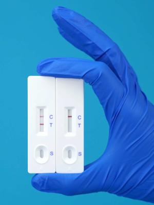 China Amantadines Strip Test Kit  For Testing Meat, Eggs for sale