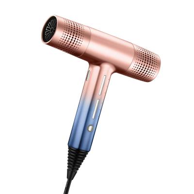 China Hana 2021 Ionic Power BLDC Motor 1600W Hair Salon Strong High Speed ​​Slim Blow Dryers Popular T Type Hair Dryer for sale