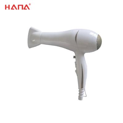 China 2021 CIXI WODE HANA Professional ETL Ionic Wall Mounted Hair Dryer Approval for sale