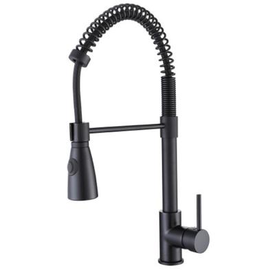 China Kitchen Faucet Kitchen Hose Pulled Down Kitchen Faucet Stainless Steel Sink Faucet Black Finish Kitchen Faucet for sale