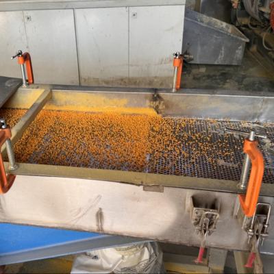 China XPE Foam Granulation Machine For XLPE EVA Polyethylene Cross-linked Pelletize en venta