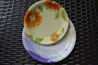 China Custom Logo Food Grade White Paperboard Paper Plate And Cups Single Wall for sale