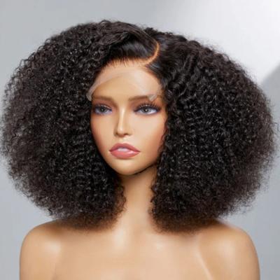 China Body Wave 300 Density Hd Lace Front Wig Afro Kinky Curly Curly Hair Wigs Transparent For Mongolian Natural Black Hair Lace Front Women for sale