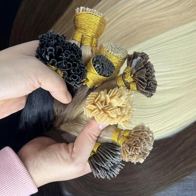 China 100% Pulled Vietnam i Tip Hair Extensions Full Cuticle Keratin Hair Itip Hair Extension Raw Natural Human Double Remy Hair Extension Wholesale for sale