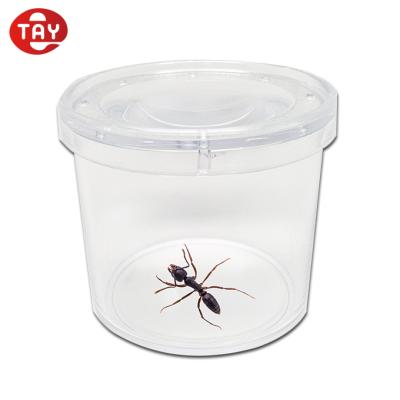 China Business Gift 3X Clear Magnifying Glass Jar Plastic Jars / Insect Magnifying Glass for sale