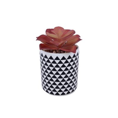 China Wholesale Cheap Black and White Ceramic Pots Outdoor Indoor Decoration for Artificial Fake Succulent Plants Accessories for sale