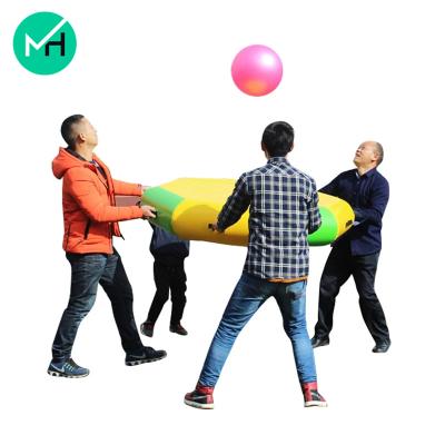 China Team Game Outdoor Inflatable Bouncing Ball Sports Game 2m Diameter for sale