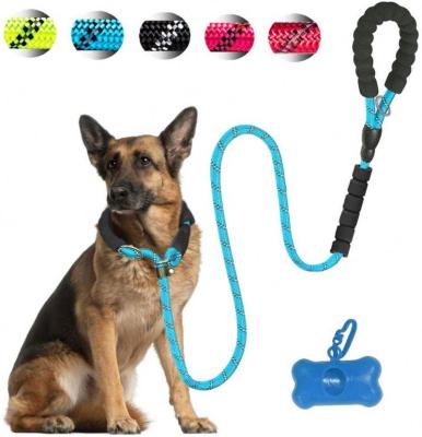 China Manufacturers Factory Price Custom Padded Logo Retractable Long Collar Dog Leash for sale