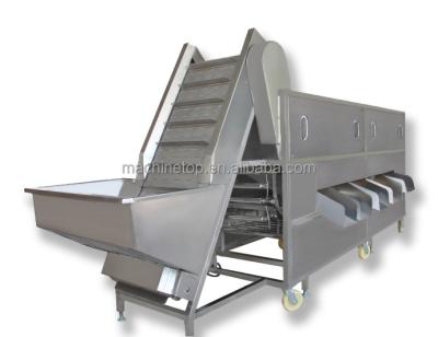 China High efficiency fruit and vegetable sorter for sale