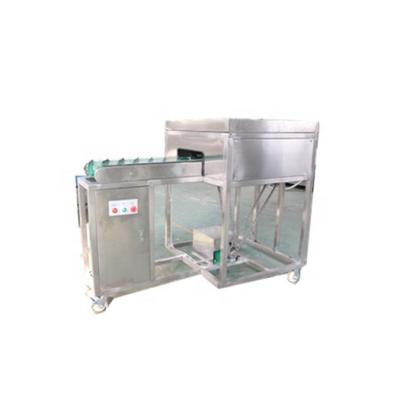 China food & Beverage Factory Banana Cutting Machine for sale