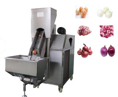 China Fruit Processing Factory One Belt Onion Peeling Machine Onion Peeling Machine Skin Peeler for sale