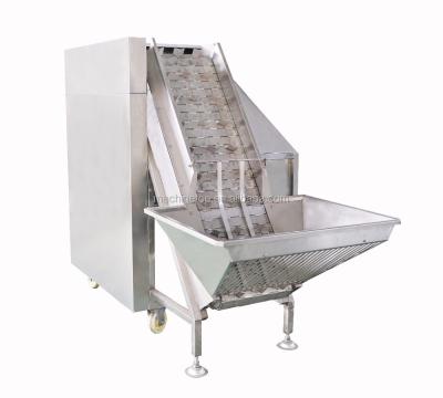 China Patented Product Onion Peeling Machine For Thick Skin RJY for sale