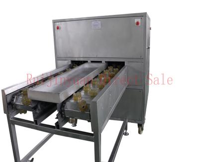 China Fruit Processing Plant 4 Belts Garlic Root Cutting Machine Garlic Root Cutter for sale