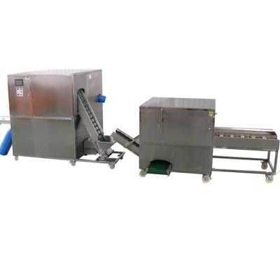 China Vegetable processing plant garlic root cutting machine garlic cutter&garlic slicing machine for sale