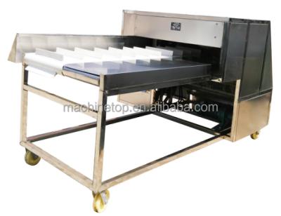 China Celery Section Cutting Machine RJY for sale