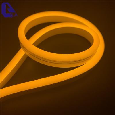 China LANDSCAPE S Shape Neon Led Strip Wifi For Letters Pattern Designing for sale