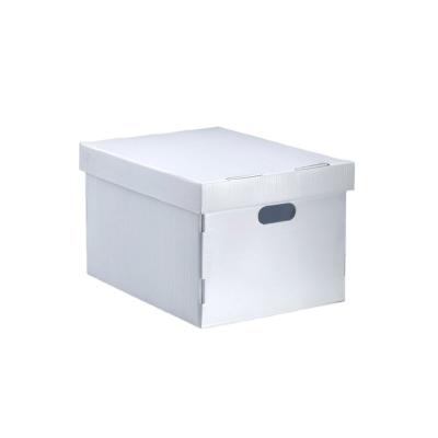 China Factory Supply High Quality Recyclable Ginger Plastic Packaging Corrugated Box Directly for sale