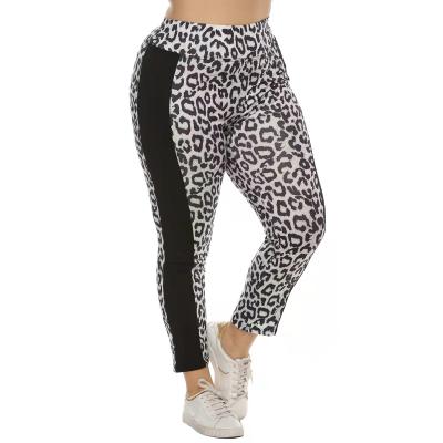 China PLUS SIZE Leopard Print Top Quilted Workout Wear Women Plus Size Casual Leggings for sale